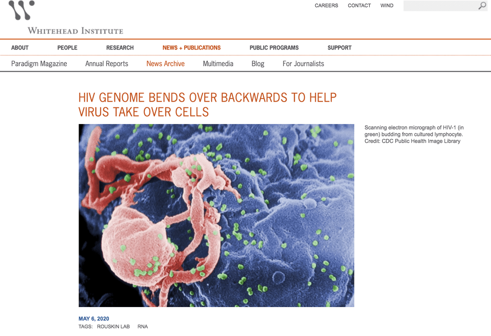 Whitehead Institute news on alternative HIV-1 RNA structures